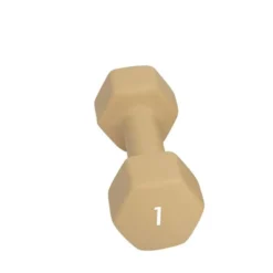 Abilica DumbBell 1 kg
