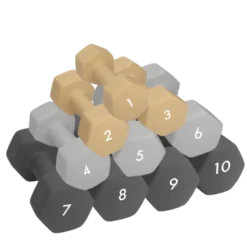 Abilica DumbBell 1 kg