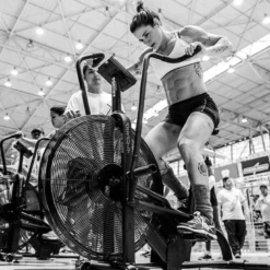 Assault Fitness Airbike Classic