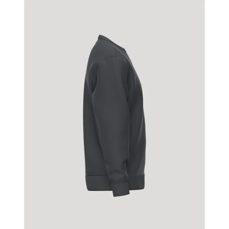 Borg Essential 4 Sweatshirt, Asphalt