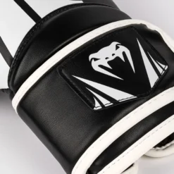 Challenger 2.5 Boxing Gloves Black/White