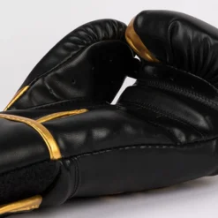 Challenger 2.5 Boxing Gloves Black/Gold