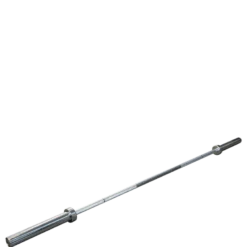 Functional Training Skivstång 15 kg