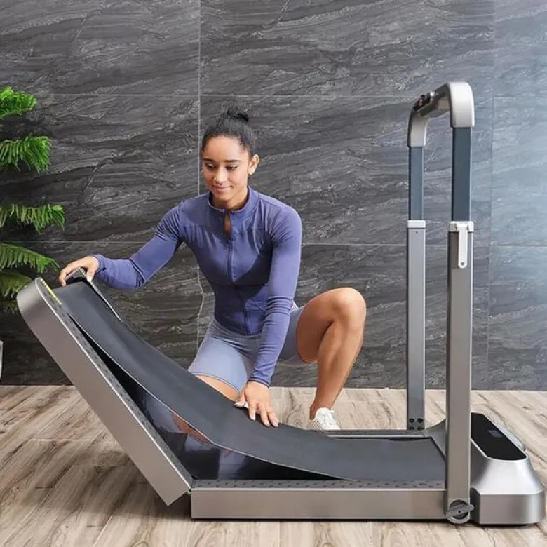 King Smith Walkingpad R2