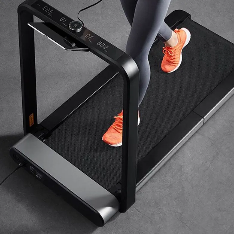King Smith Walkingpad X21
