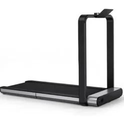 King Smith Walkingpad X21