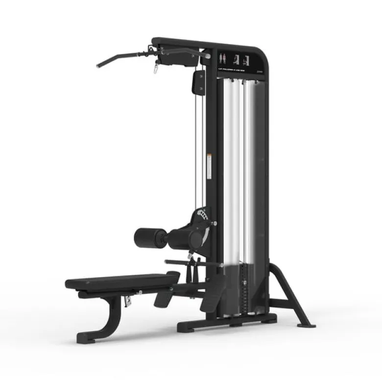 Lat Pulldown & Low Row