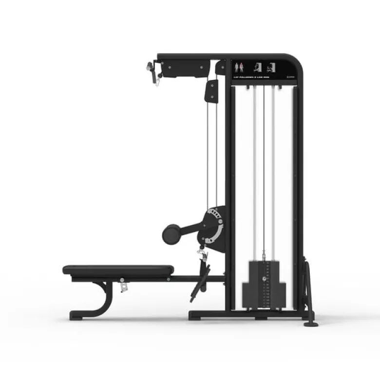 Lat Pulldown & Low Row