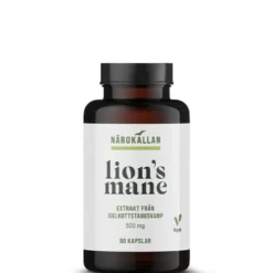 Lions Mane 500 mg 90 kapslar