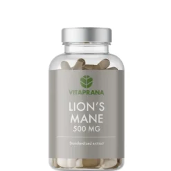 Lion's Mane 500 mg, 100 kapslar