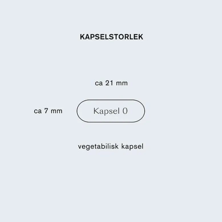 Lions mane 60 vegetabiliska kapslar