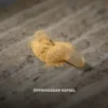 Multi-Immun 60 vegetabiliska kapslar