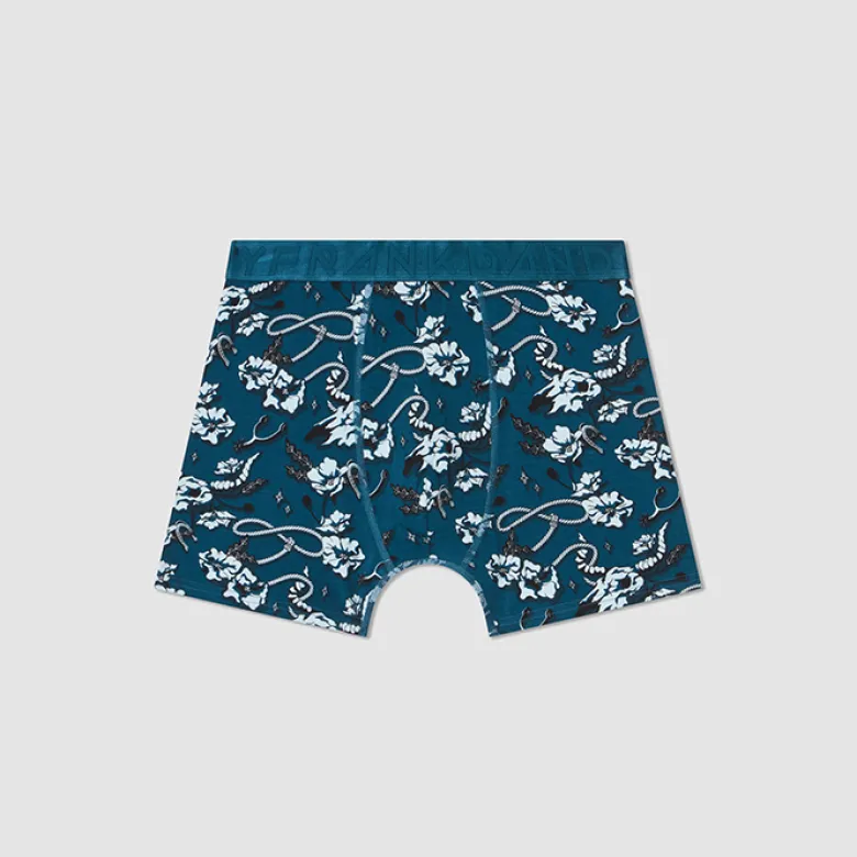 5-Pack Wasteland boxer, Petrol