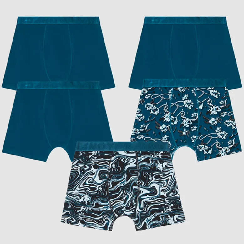 5-Pack Wasteland boxer, Petrol