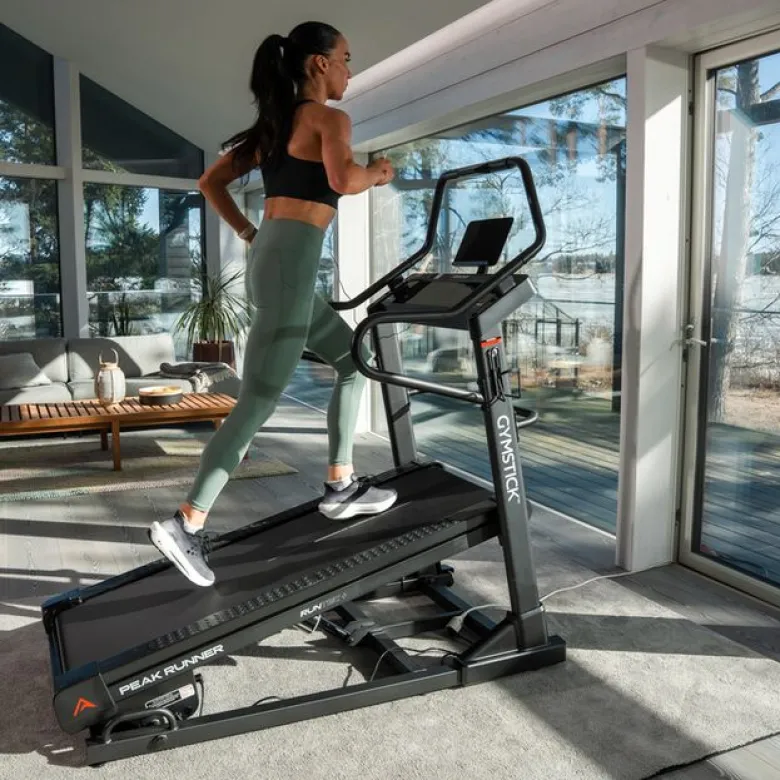 Peak Runner Treadmill