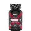 Premium Tribulus 90 caps
