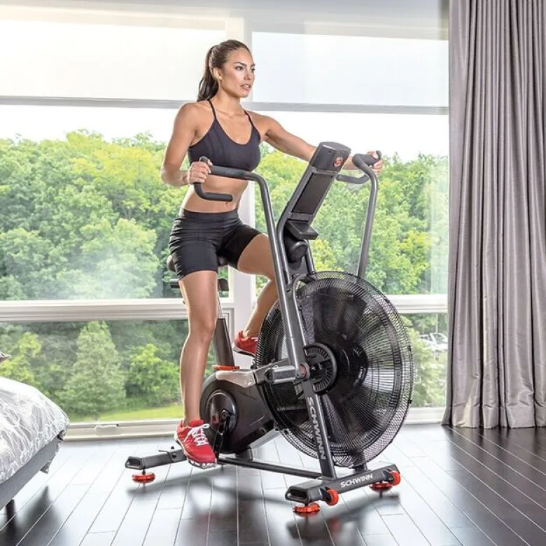 Schwinn Airdyne AD8 Airbike