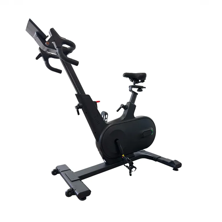 Träningscykel S96