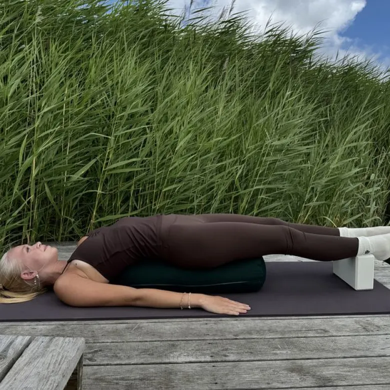 Vitaprana Bolster